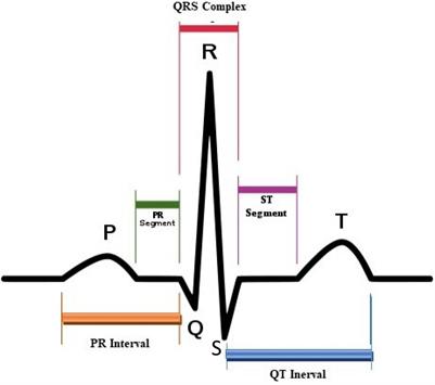 Intelligent Healthcare System Using Patients Confidential Data Communication in Electrocardiogram Signals